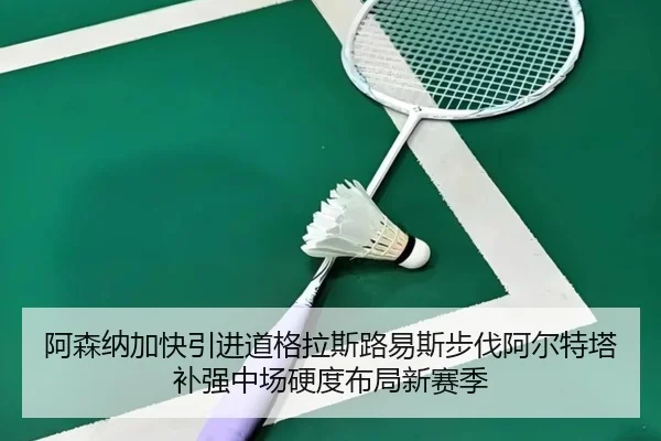 阿森纳加快引进道格拉斯路易斯步伐阿尔特塔补强中场硬度布局新赛季